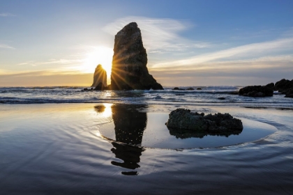 Picture of HAYSTACK ROCK PINNACLES AT LOW TIDE IN CANNON BEACH-OREGON-USA