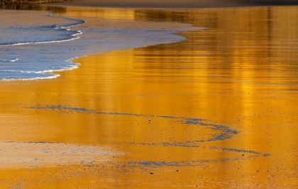 Picture of REFLECTIVE WET SAND AT SUNRISE-CAPE KIWANDA IN PACIFIC CITY-OREGON-USA