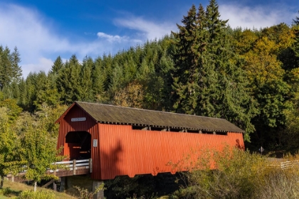 Picture of CHITWOOD COVERED BRIDGE OVER THE YAQUINA RIVER IN LINCOLN COUNTY-OREGON-USA