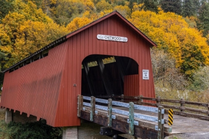 Picture of CHITWOOD COVERED BRIDGE IN AUTUMN IN LINCOLN COUNTY-OREGON-USA