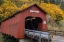 Picture of CHITWOOD COVERED BRIDGE IN AUTUMN IN LINCOLN COUNTY-OREGON-USA