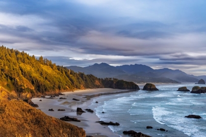 Picture of CRESCENT BEACH AT ECOLA STATE PARK IN CANNON BEACH-OREGON-USA