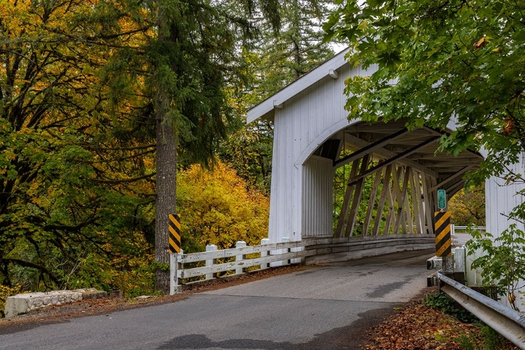 Picture of HANNAH COVERED BRIDGE SPANS THOMAS CREEK IN LINN COUNTY-OREGON-USA