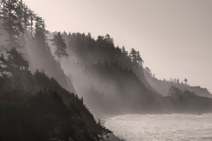 Picture of SEA MIST RISES ALONG INDIAN BEACH AT ECOLA STATE PARK IN CANNON BEACH-OREGON-USA