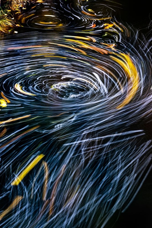 Picture of EDDY FORMS SWIRLING PATTERNS IN THE NEHALEM RIVER IN AUTUMN IN THE TILLAMOOK STATE FOREST-OREGON-USA