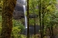 Picture of SOUTH FALLS AT SILVER FALLS STATE PARK NEAR SUBLIMITY-OREGON-USA