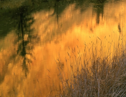 Picture of USA-OREGON-ABSTRACT OF CROOKED RIVER-SMITH ROCK STATE PARK