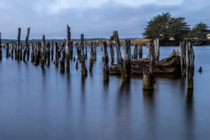 Picture of USA-OREGON-BANDON BANDON PIER-LONG EXPOSURE