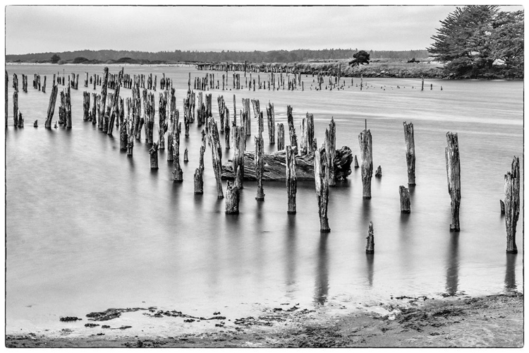 Picture of USA-OREGON-BANDON BANDON PIER-LONG EXPOSURE