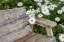 Picture of USA-OREGON-YACHATS PLANTINGS