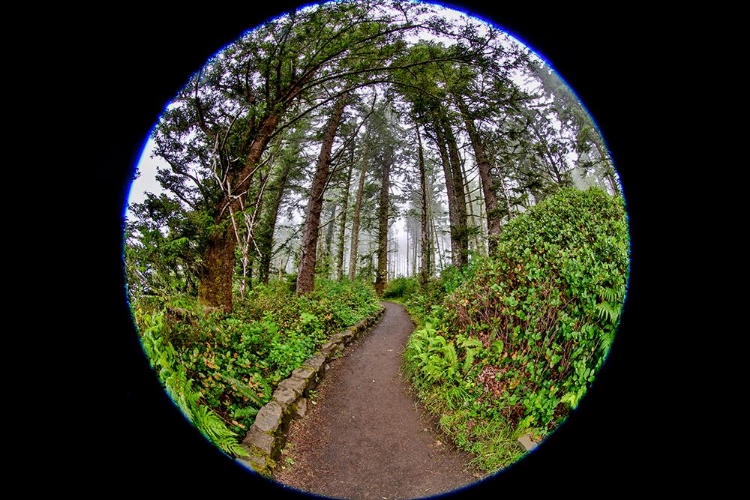 Picture of USA-OREGON-YACHATS CAPE PERPETUA