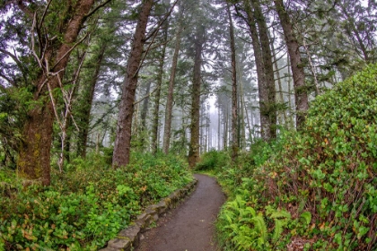 Picture of USA-OREGON-YACHATS CAPE PERPETUA