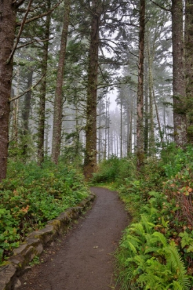 Picture of USA-OREGON-YACHATS CAPE PERPETUA