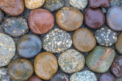 Picture of USA-OREGON-BANDON BANDON BEACH-CLOSEUP OF ROCKS GATHERED ON THE BEACH