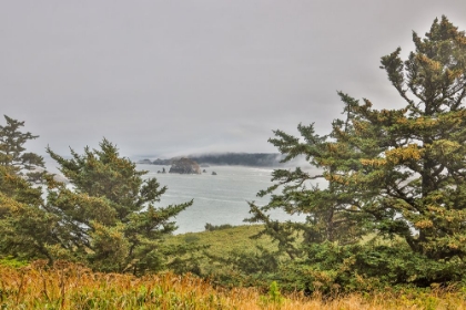 Picture of USA-OREGON-PORT ORFORD CAPE BLANCO LIGHTHOUSE-COAST NEAR CAPE BLANCO LIGHTHOUSE