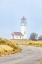 Picture of USA-OREGON-PORT ORFORD CAPE BLANCO LIGHTHOUSE ON A FOGGY MORNING