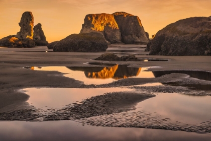 Picture of BANDON BEACH-OREGON