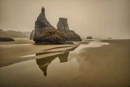 Picture of BANDON BEACH-OREGON