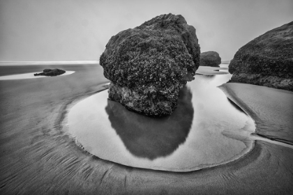 Picture of BANDON BEACH-OREGON