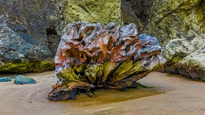 Picture of USA-OREGON-BANDON-BEACH