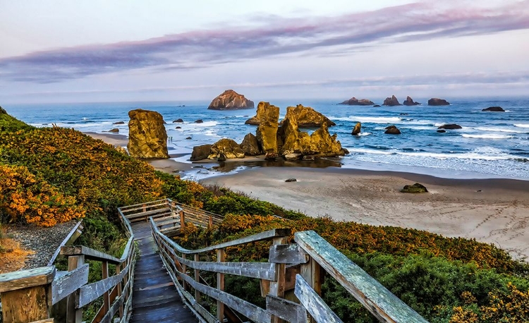 Picture of USA-OREGON-BANDON-BEACH