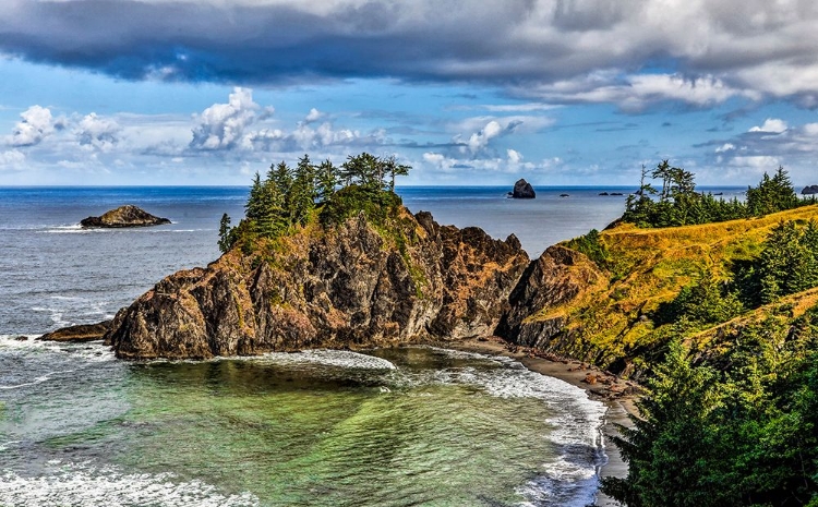 Picture of USA-OREGON-CAPE SEBASTIAN