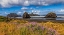 Picture of USA-OREGON-CAPE SEBASTIAN
