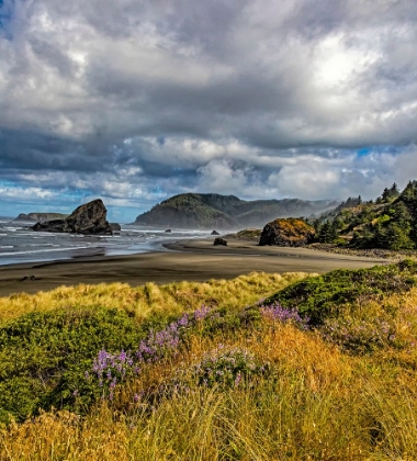 Picture of USA-OREGON-CAPE SEBASTIAN