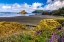 Picture of USA-OREGON-CAPE SEBASTIAN