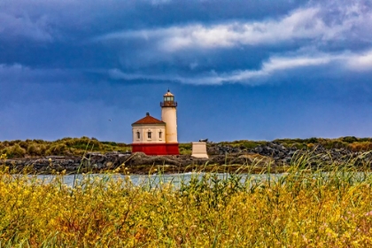 Picture of USA-OREGON-BANDON-BEACH