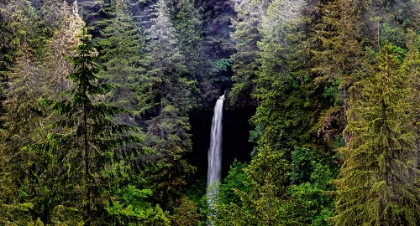 Picture of USA-OREGON-SILVER FALLS STATE PARK-NORTH FALLS