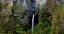 Picture of USA-OREGON-SILVER FALLS STATE PARK-NORTH FALLS