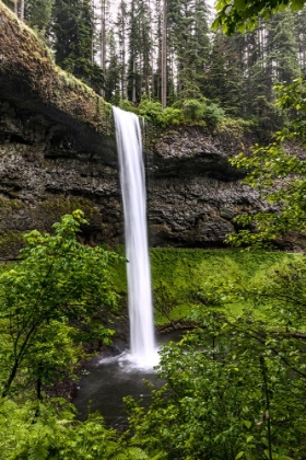 Picture of USA-OREGON-SILVER FALLS STATE PARK-SOUTH FALLS