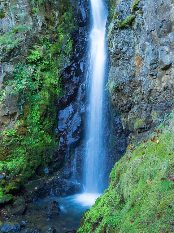 Picture of OREGON-COLUMBIA RIVER GORGE NATIONAL SCENIC AREA-WARREN CREEK-AT HOLE IN THE WALL FALLS