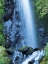 Picture of OREGON-COLUMBIA RIVER GORGE NATIONAL SCENIC AREA-WARREN CREEK-AT HOLE IN THE WALL FALLS