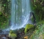 Picture of OREGON-COLUMBIA RIVER GORGE NATIONAL SCENIC AREA-LANCASTER FALLS