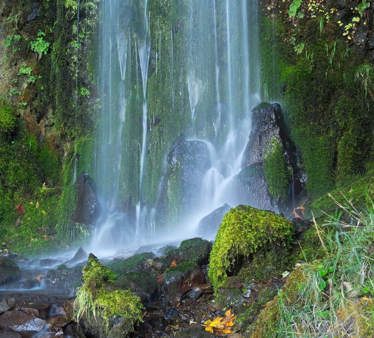 Picture of OREGON-COLUMBIA RIVER GORGE NATIONAL SCENIC AREA-LANCASTER FALLS