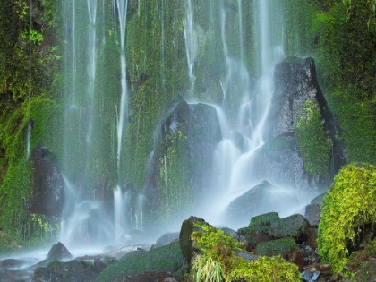 Picture of OREGON-COLUMBIA RIVER GORGE NATIONAL SCENIC AREA-LANCASTER FALLS