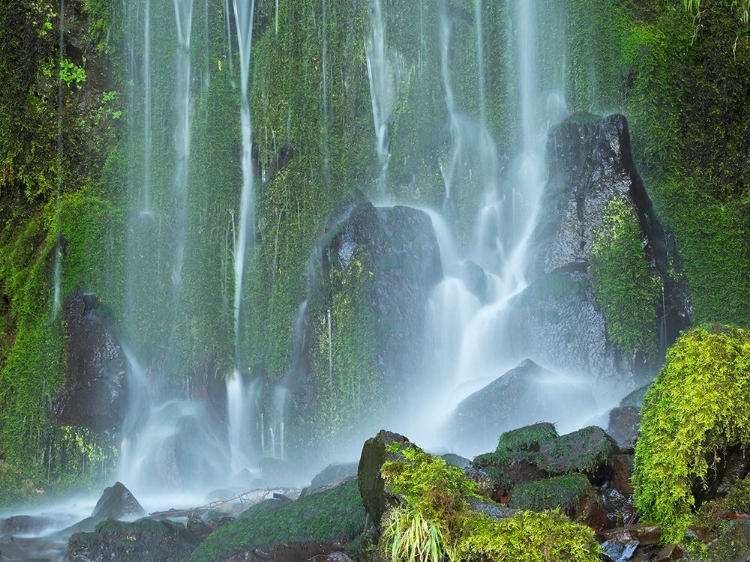 Picture of OREGON-COLUMBIA RIVER GORGE NATIONAL SCENIC AREA-LANCASTER FALLS