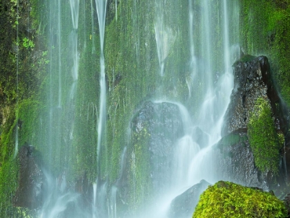 Picture of OREGON-COLUMBIA RIVER GORGE NATIONAL SCENIC AREA-LANCASTER FALLS