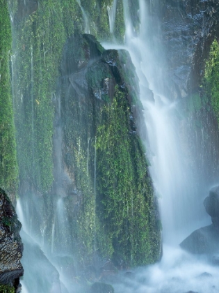 Picture of OREGON-COLUMBIA RIVER GORGE NATIONAL SCENIC AREA-LANCASTER FALLS