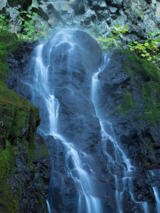 Picture of OREGON-COLUMBIA RIVER GORGE NATIONAL SCENIC AREA-CABIN CREEK FALLS