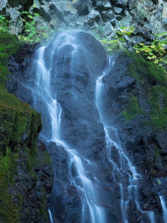 Picture of OREGON-COLUMBIA RIVER GORGE NATIONAL SCENIC AREA-CABIN CREEK FALLS