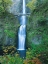 Picture of OREGON-COLUMBIA RIVER GORGE NATIONAL SCENIC AREA-MULTNOMAH FALLS