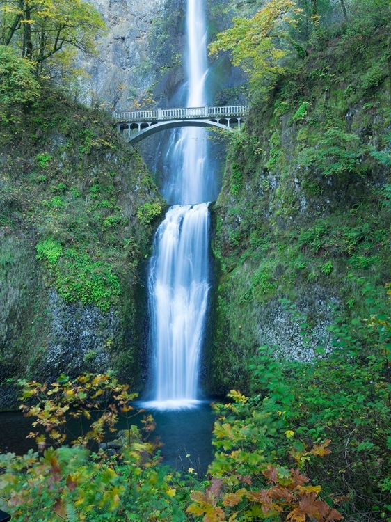 Picture of OREGON-COLUMBIA RIVER GORGE NATIONAL SCENIC AREA-MULTNOMAH FALLS