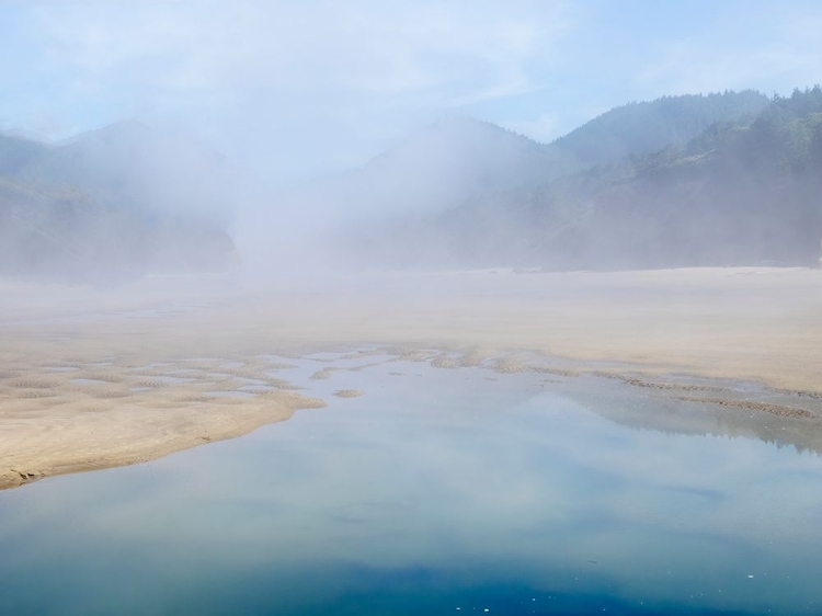 Picture of OREGON-HUG POINT FOGGY BEACH