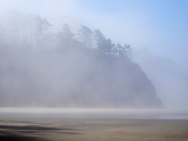 Picture of OREGON-HUG POINT MORNING FOG