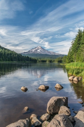 Picture of OREGON-MT HOOD NATIONAL FOREST TRILLIUM LAKE AND MT HOOD