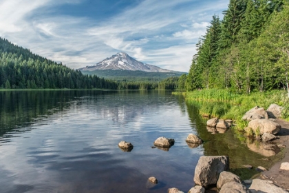 Picture of OREGON-MT HOOD NATIONAL FOREST TRILLIUM LAKE AND MT HOOD