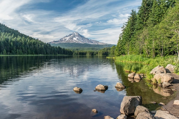 Picture of OREGON-MT HOOD NATIONAL FOREST TRILLIUM LAKE AND MT HOOD